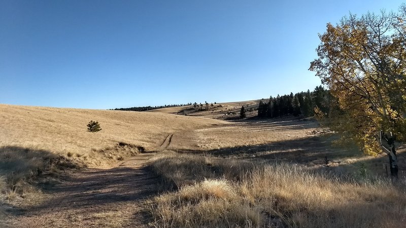 Trail leading off into the horizon