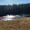 Small pond towards the end of the loop