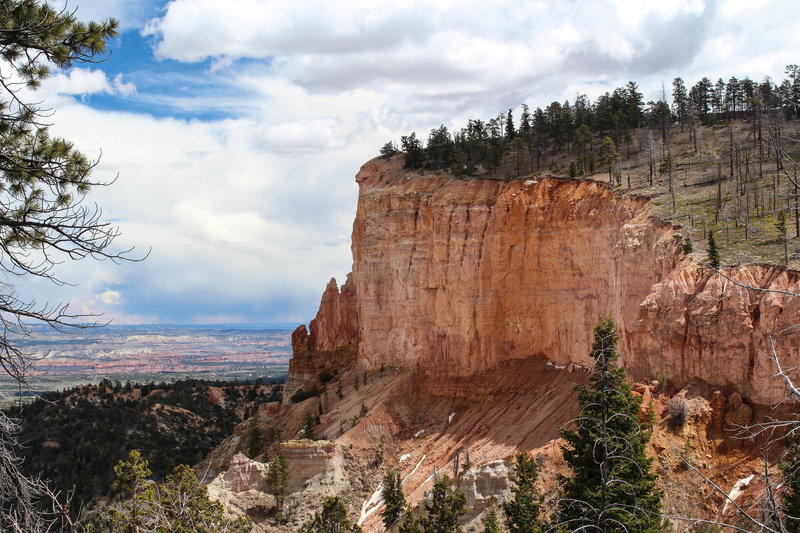 Noon Canyon Butte