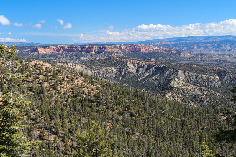 View north across Bryce Canyon National Park from Riggs Spring Loop Trail