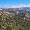 View north across Bryce Canyon National Park from Riggs Spring Loop Trail