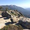 View overlooking Redwood Mountain Grove