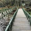 Bridge crossing leading to trailhead