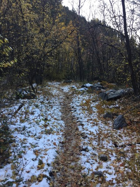 Was some snow as we got higher up, even though it is really warm.