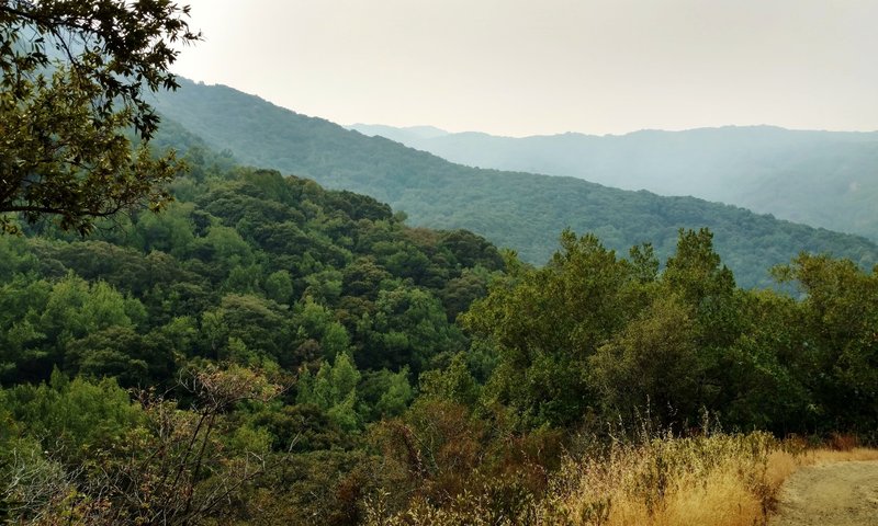 Barlow Road Trail runs through the rugged Santa Cruz Mountains