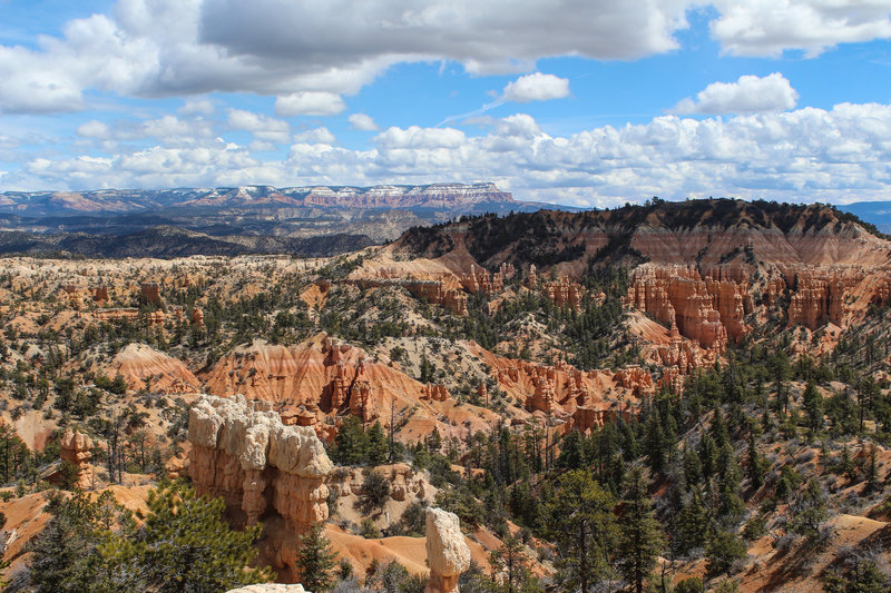 Fairyland Canyon and Barney Top in the background.