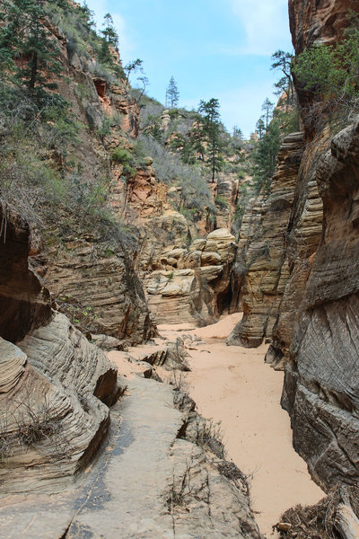 Water Canyon past the pour-off