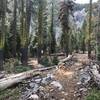 Trail Gulch Lake Spur Trail in Trinity Alps Wilderness