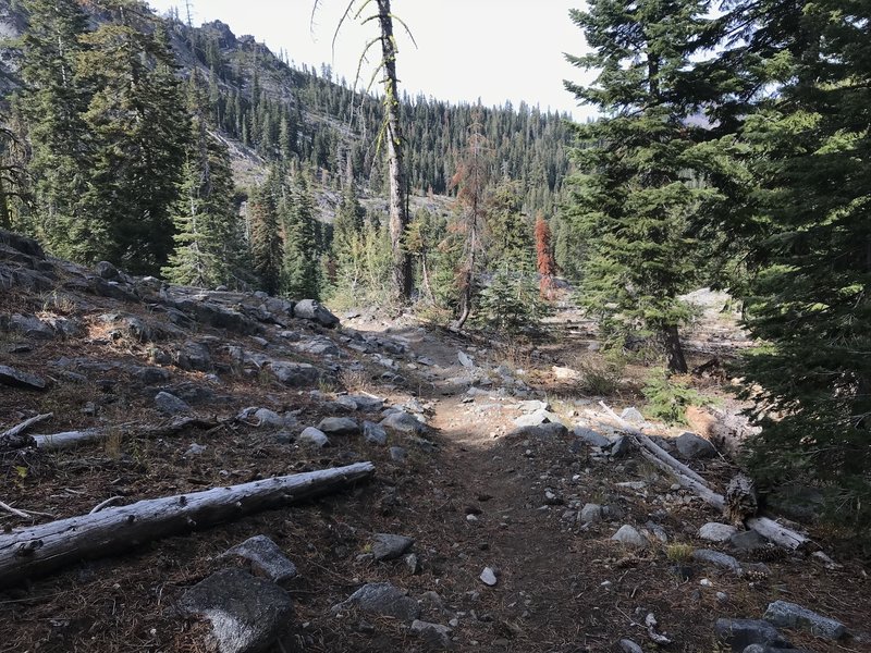 Trail Gulch Trail in Trinity Alps Wilderness