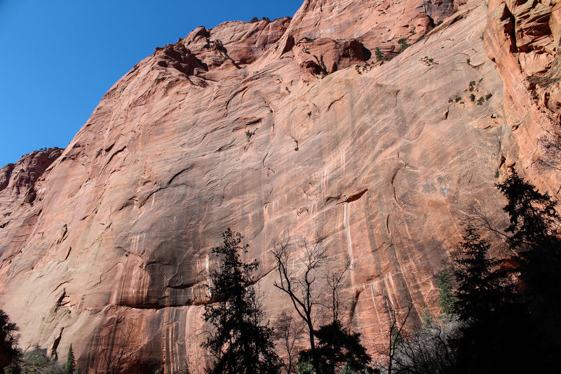 Intimidating canyon walls on the way to the alcove.