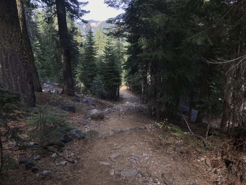 Trail Gulch Trail in Trinity Alps Wilderness