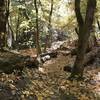 Fall on Canyon Creek Trail in Marble Mountain Wilderness