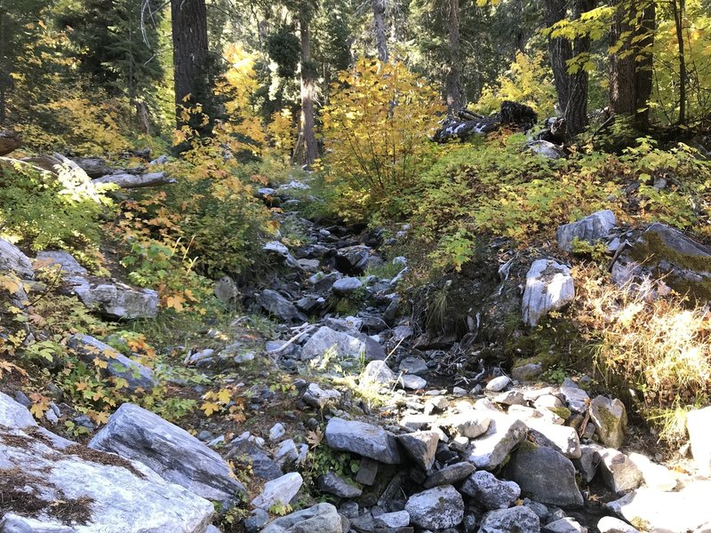 Fall on Canyon Creek Trail in Marble Mountain Wilderness.