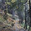 Fall on Canyon Creek Trail in Marble Mountain Wilderness.