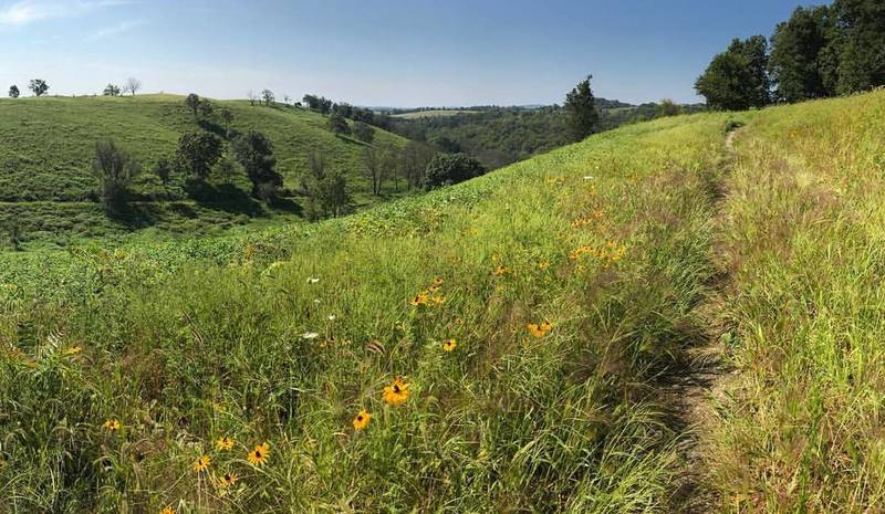 Trexler Border Trail