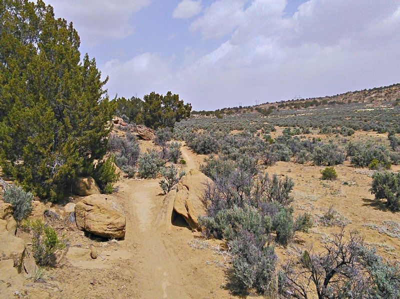 Rocks add scenery along this broad arroyo, but alas there are no technical features.