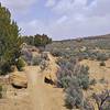 Rocks add scenery along this broad arroyo, but alas there are no technical features.