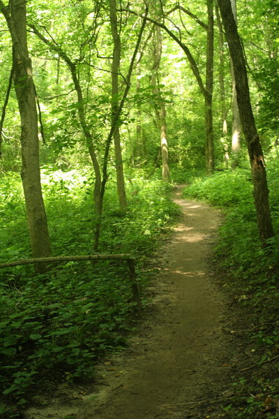 Camp Glenn beginner trail.