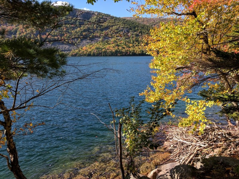 East shore of Jordan Pond in the Fall.