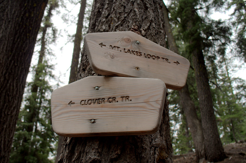 Signs at junction of the Clover Creek and Mountain Lakes Trails.