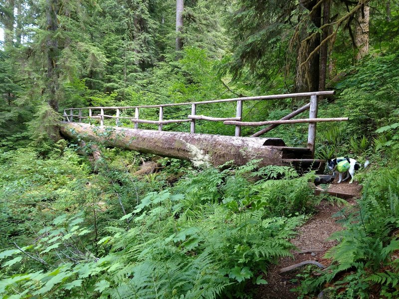 Bridge over small creek on Southside of Spider Lake.