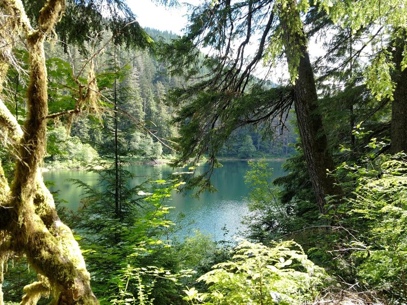 Spider Lake view from trail on Southside.