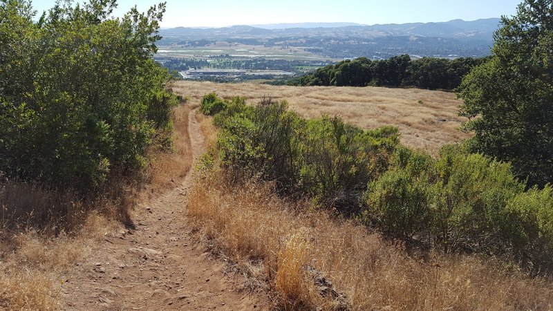 A moment of smooth sailing--on Skyline Trail.