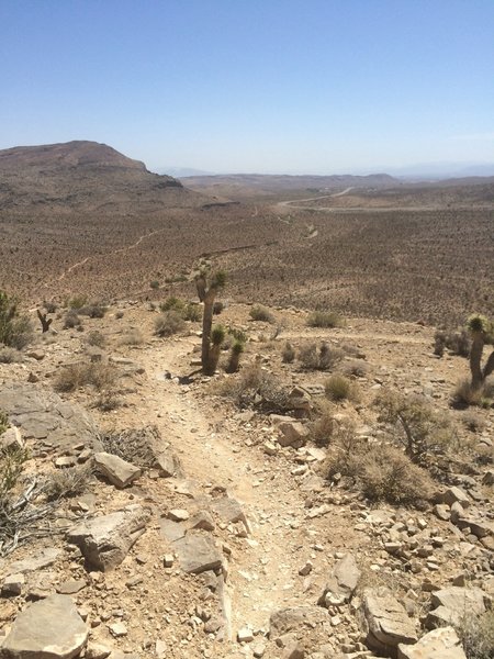 Top of Rusty Bucket in Las Vegas NV.