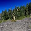 The trail goes through lava flows on the west side of Brown Mountain