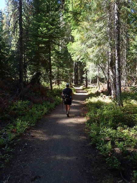 On the High Lakes Trail near Lake of the Woods
