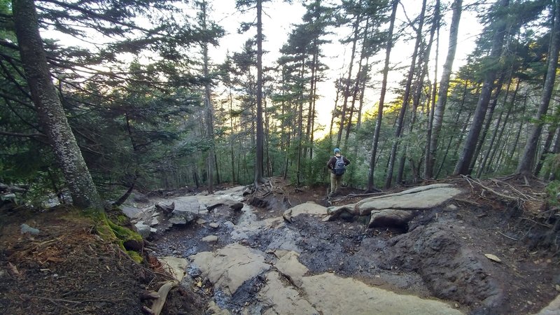 Rocks and mud