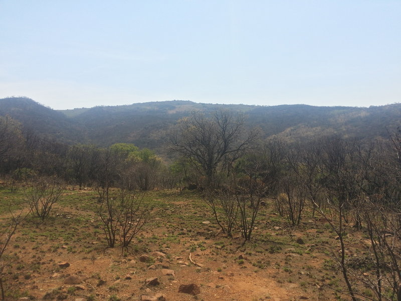 A view from the western path of the Klipriviersberg Nature Reserve