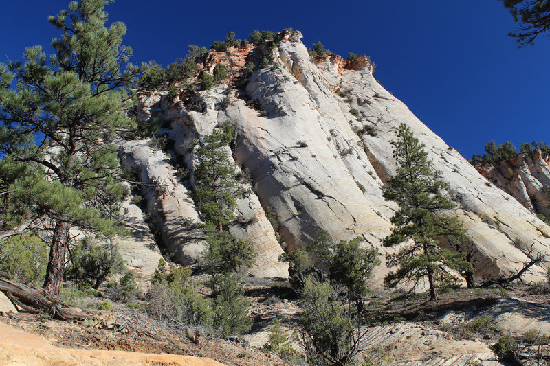 Amazing rock formations next to East Rim Trail.