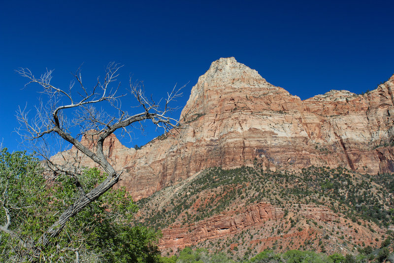 Bridge Mountain from Watchman Trail