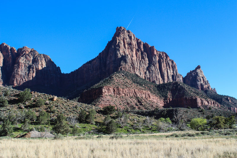 The Watchman