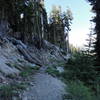 Bingham Lake Trail