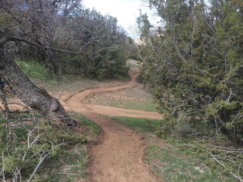 Pristine singletrack through oaks and junipers on Jane's Loop.