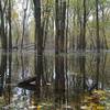 The marshy areas in the Wisconsin River backwaters can be buggy, but offer lots of wildlife viewing opportunities.