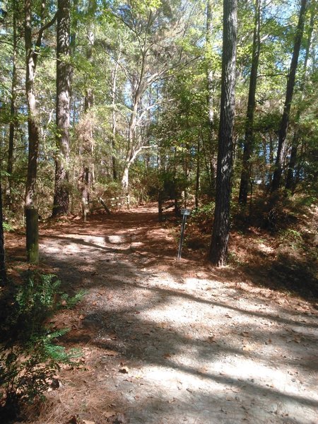 Trailhead at Fayetteville Road.