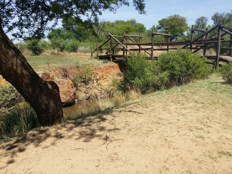 Gum-pole river crossing bridge.