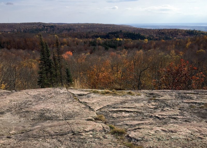 is gatineau park dog friendly