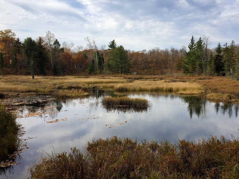 Pond near Mahingan Lookout.