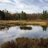 Pond near Mahingan Lookout.