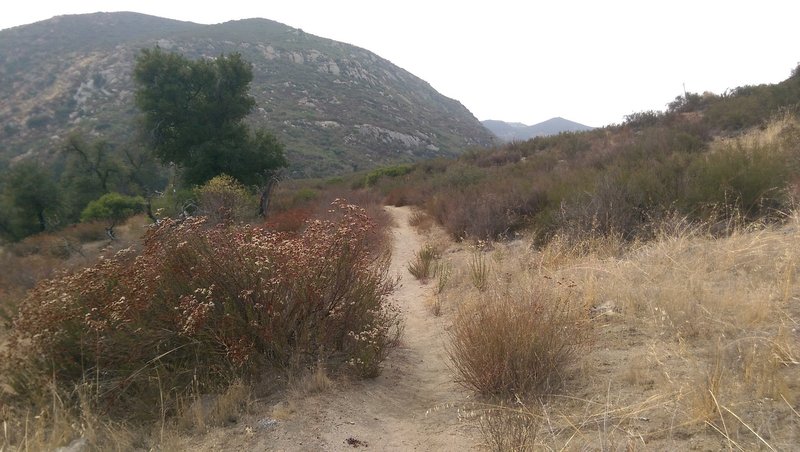 Espinosa Trail leading to into Pine Creek Wilderness. October 18, 2017.