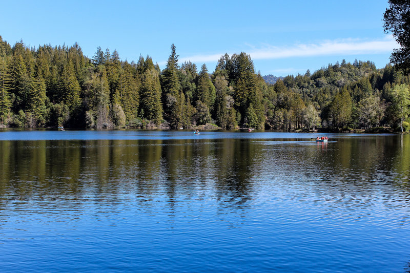 Recreational boating on Loch Lomond.