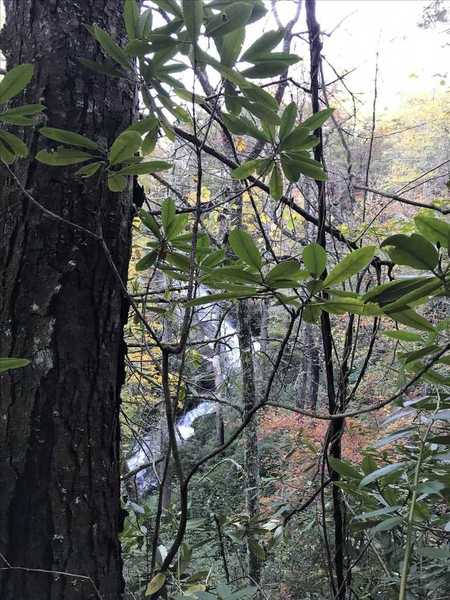 One of the many waterfalls you'll see along the Darnell Creek Horse Trail.