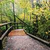 A boardwalk and shallow creek complete the experience on the Connelly Creek Trail.