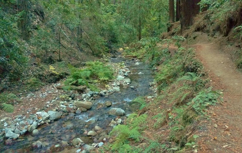 Fall Creek, along the Fall Creek Trail.