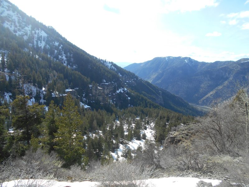 Looking down into Logan Canyon.