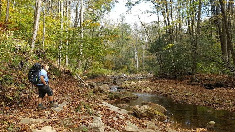 Middle Fork Trail